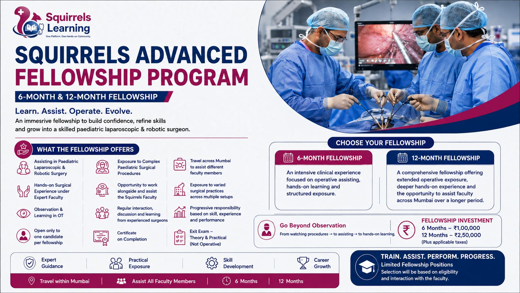 Advanced Fellowship Programme